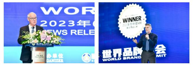 权威认证 ng28.com入选中国500最具价值品牌