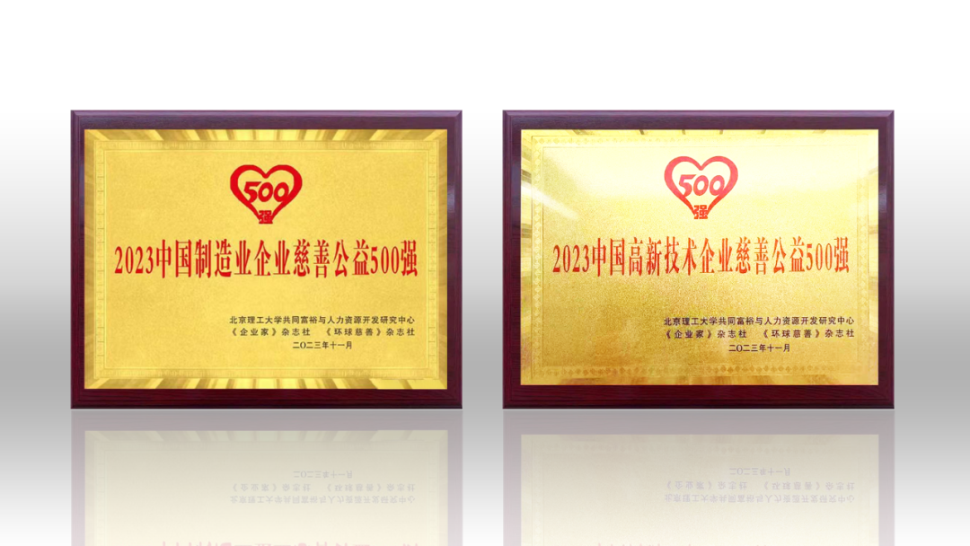 2023中国企业慈善公益500强发布 ng28.com荣登两项榜单