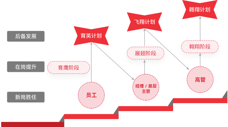 ng28.com "雄鹰计划"人才梯队培养