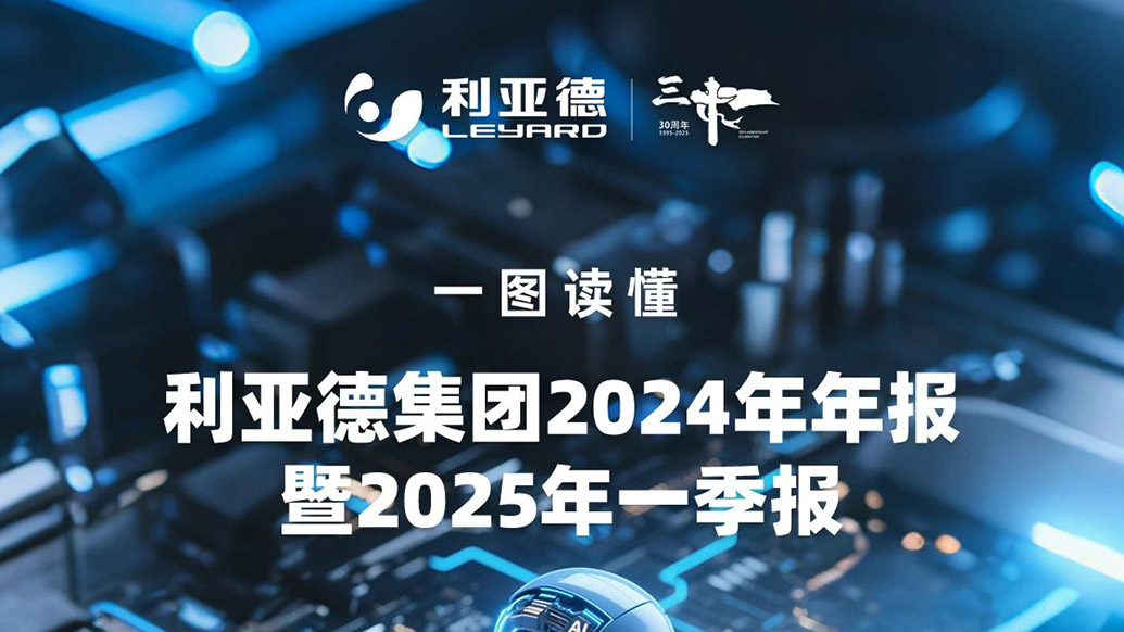 ng28.com集团2024年年报暨2025年一季报解读